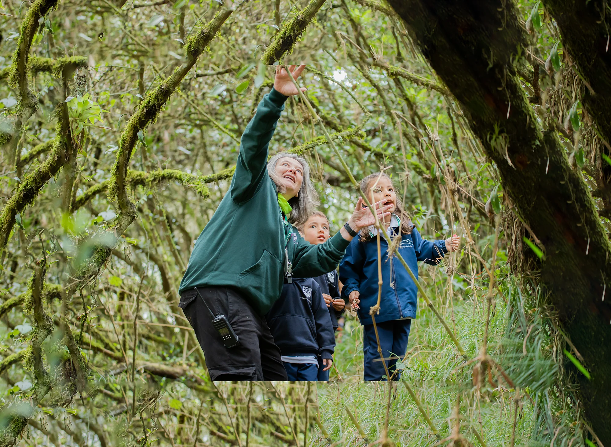 Solicita información