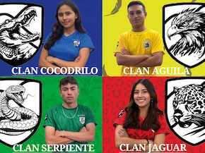 Casas escolares