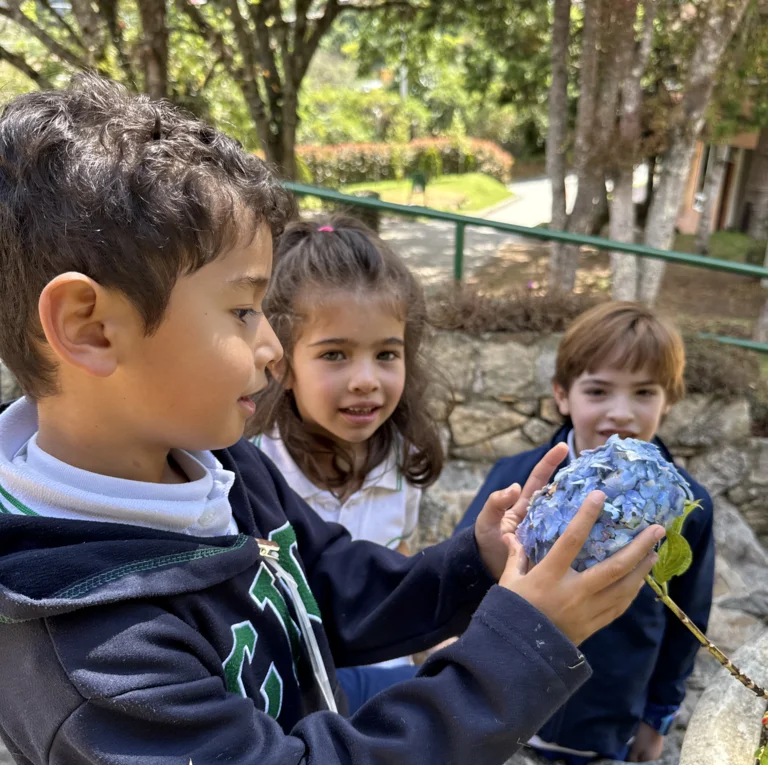 Excelencia académica