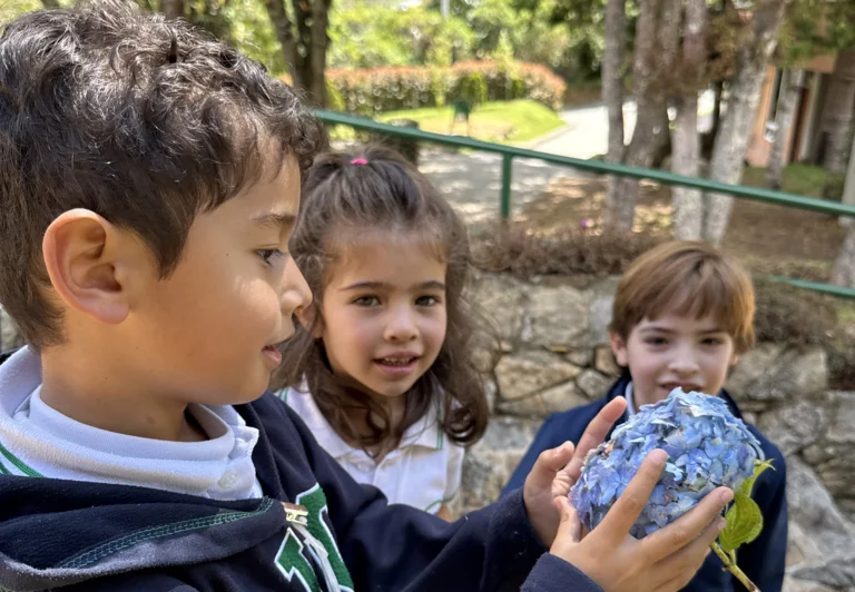 Excelencia académica