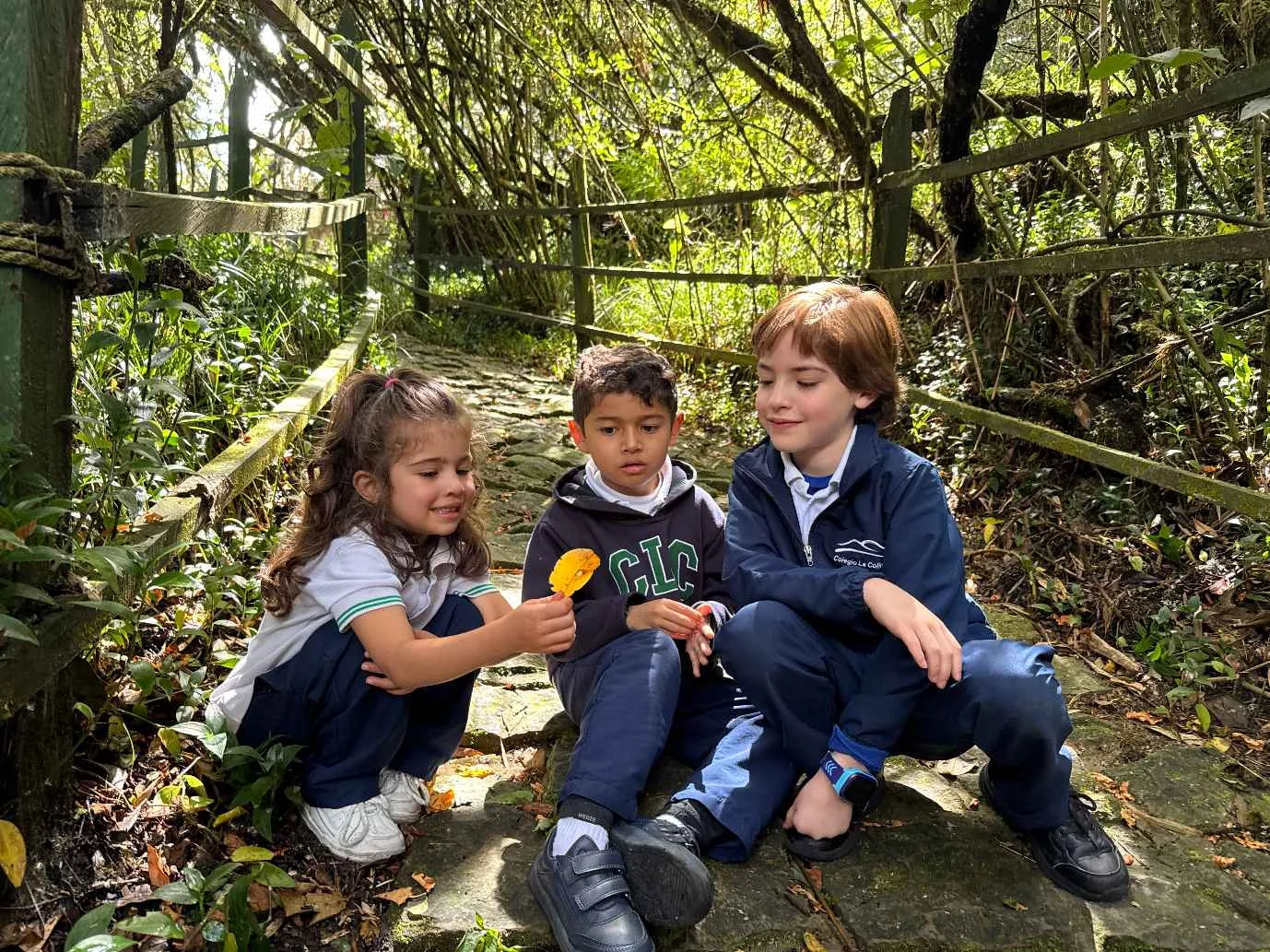 Forest School 