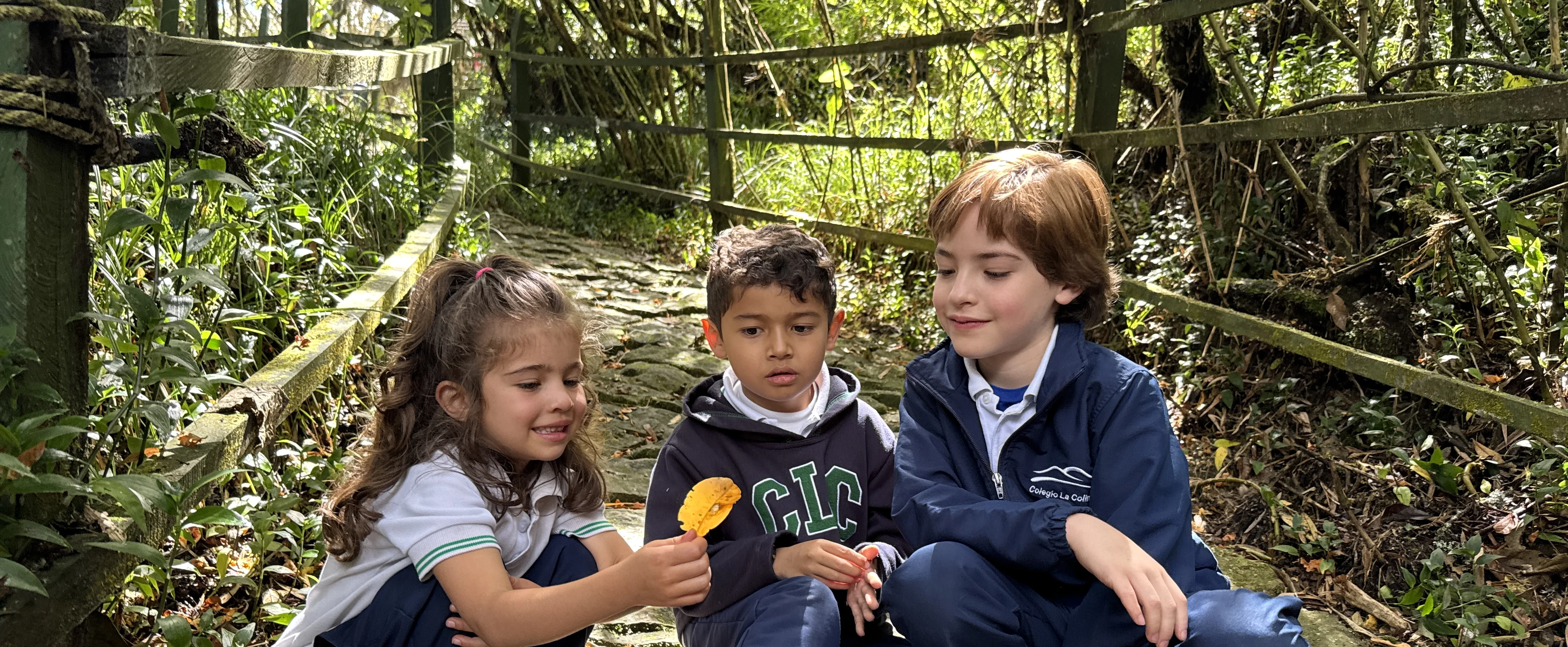 Proceso de admisión