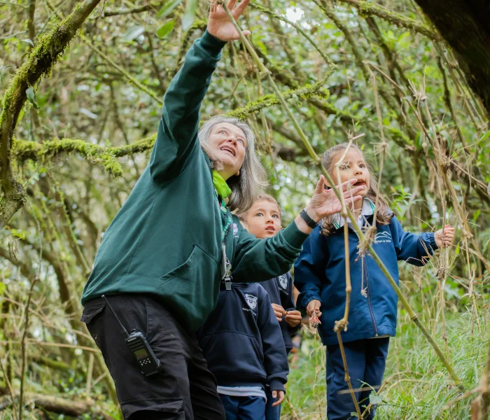 Solicita información