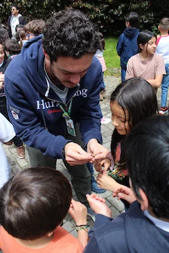 Funciones docentes