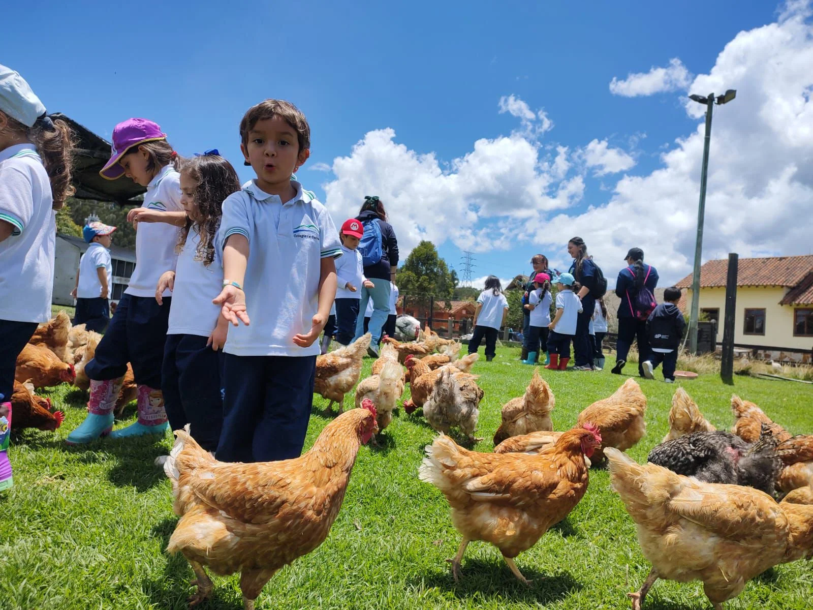 Somos el primer Forest School moderno en Colombia