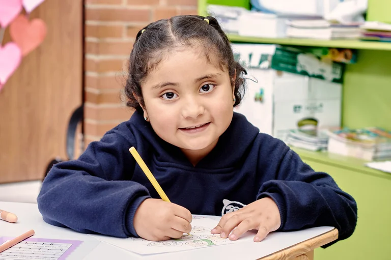 Introducción a las matemáticas de Singapur y las plataformas de aprendizaje